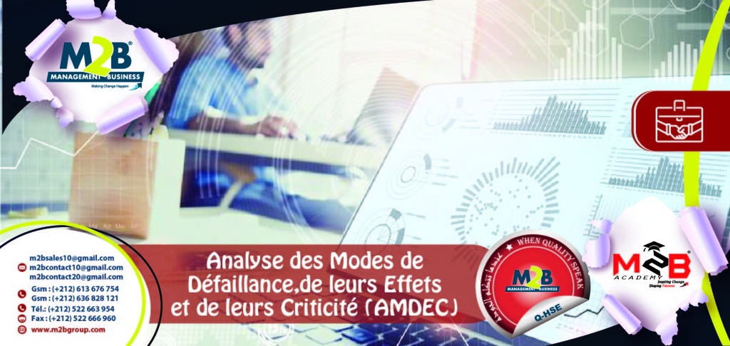 Analyse des Modes de Défaillance, de leurs Effets et de leurs Criticité (AMDEC)