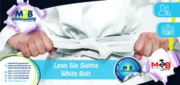 [SFO_B_OPEX_PG_LS_100] Lean Six Sigma White Belt