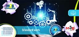 [SFO_B_OPEX_CI_TO_500] Standard work -